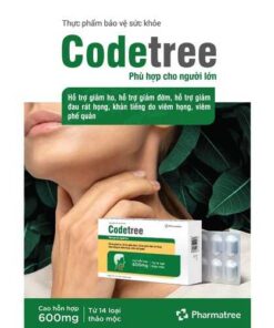Codetree 06