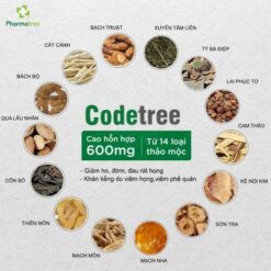 Giảm ho CODETREE Codetree 09