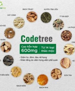 Codetree 09
