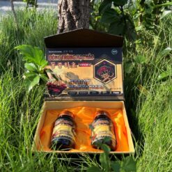 ĐÔNG TRÙNG HẠ THẢO VINOFA DTHT 4