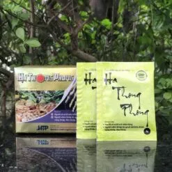 Hà Thống Phong hỗ trợ giảm acid uric