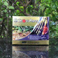 HTP 4