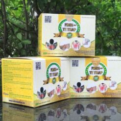 Phong Tê Thấp HTP PTT 4