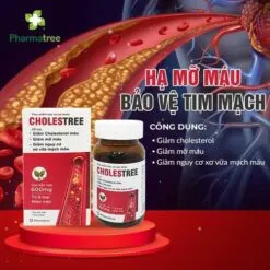 CHOLESTREE giảm mỡ máu