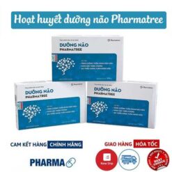 Dưỡng não PHARMATREE duong nao 04