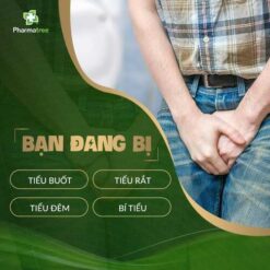 thanh than 05