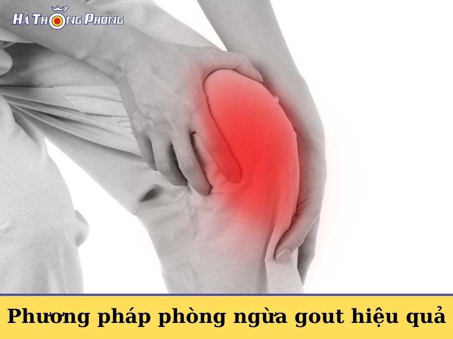 Phương Pháp Phòng Ngừa Gout Hiệu Quả 6072