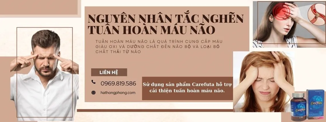 Những cách tăng tuần hoàn máu não tốt nhất Nguyên nhân gây tắc nghẽn tuần hoàn máu não