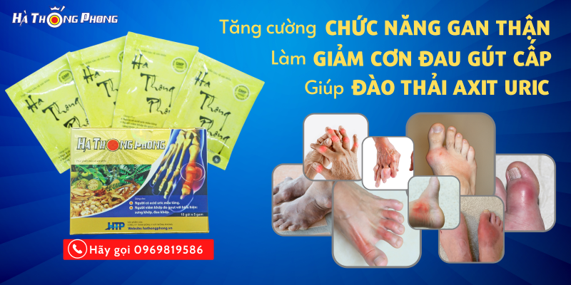 Ha Thong Phong Thai Axit Gout